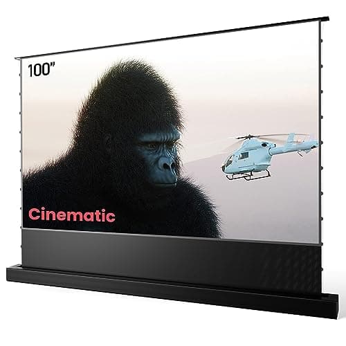 AWOL VISION ALR 電動床置き 100インチ