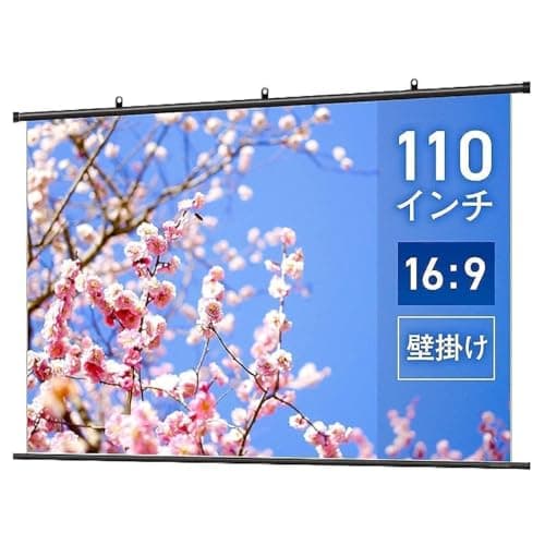 シアターハウス WSD 110インチ