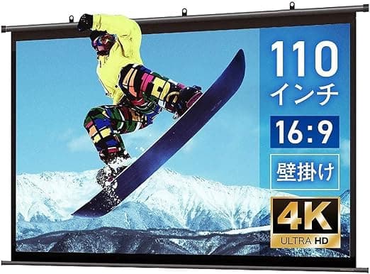 シアターハウス WEM 110インチ